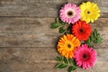 Composition with beautiful bright gerbera flowers on wooden background. Space for text Royalty Free Stock Photo