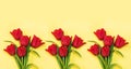 Composition beautiful red tulips on yellow background. Flowers background.