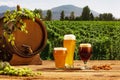 Composition with beer barrel and beer glasses with wheat and hops on wooden table over hop gardens and nature landscape