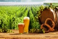 Composition with beer barrel and beer glasses with wheat and hops on wooden table over hop gardens and nature landscape