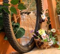 Composition of a bicycle wheel and flowers