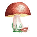 Composition with big cep porcini mushroom boletus edulis on white background. Watercolor hand drawn illustration Royalty Free Stock Photo