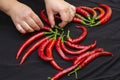 Composition of big organic red chili pepper, hands of young woman