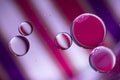 Oil drops on water colors rose purple Royalty Free Stock Photo