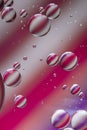 Oil drops on water colors rose purple Royalty Free Stock Photo