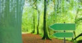 Composition of binary coding over green arrows and forest Royalty Free Stock Photo