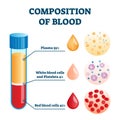 Composition of blood vector illustration. Labeled anatomical structure scheme