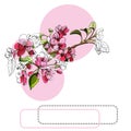 Composition with  blossoming pink  branch of apple tree, circles and frame. Hand drawn ink and colored sketch  of  malus flowers Royalty Free Stock Photo