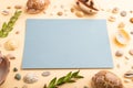 Composition with blue paper sheet, seashells, pebbles, green boxwood. mockup on orange background. side view, copy space