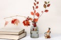 Composition of books and autumn leaves in interior.