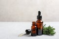 Composition with bottles of conifer essential oil on light table. Royalty Free Stock Photo
