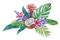 Composition - a bouquet of beautiful tropical plants, flowers, green leaves and half coconut. Hand drawn. Watercolor. Royalty Free Stock Photo