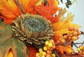 Composition, bouquet of dried flowers, berries, and leaves