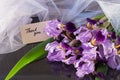 Composition of the bouquet of irises and white veil on a dark re