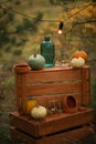 Composition of boxes and pumpkins
