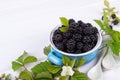 Composition of branch of Blackberry with leaf and blackberries