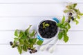 Composition of branch of Blackberry with leaf and blackberries in a blue ceramic bowl on white table.