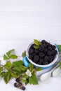 Composition of branch of Blackberry with leaf and blackberries Royalty Free Stock Photo