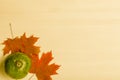 Composition of bright autumn leaves and vegetables on a light background. Toned Royalty Free Stock Photo