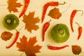 Composition of bright autumn leaves and vegetables on a light background. Toned Royalty Free Stock Photo