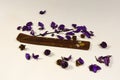 composition burning incense stick and flower petals on a white background