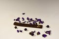 composition burning incense stick and flower petals on a white background