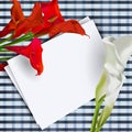 Composition of Calla flowers with a white sheet of text on the table. Vector illustration Royalty Free Stock Photo