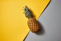 Flat lay view of tropical Pineapple fruit single on a duotone yellow-grey background