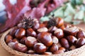 A composition of chestnuts and cone and leaves Royalty Free Stock Photo
