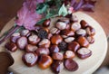 A composition of chestnuts and cone and leaves Royalty Free Stock Photo