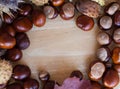 A composition of chestnuts and cone and leaves Royalty Free Stock Photo