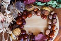 A composition of chestnuts and cone and leaves Royalty Free Stock Photo