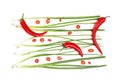 Composition with chili and green onion on white background