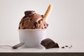 Composition of chocolate ice cream ball in paper cup Royalty Free Stock Photo