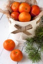 Composition with Christmas mandarines Royalty Free Stock Photo