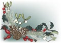 Composition of Christmas plants