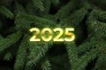 Composition with Christmas tree and number 2025 as a symbol of the coming New Year. Holiday background or greeting card. Top view