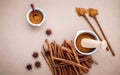 Composition of cinnamon stick and cinnamon powder in white mortar with star anise ,bay leaves and wooden spoon on brown Royalty Free Stock Photo