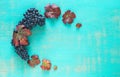 Composition of clusters of ripe black grapes and vine leaves on a painted blue background