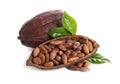 Composition with cocoa beans on white Royalty Free Stock Photo