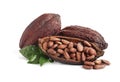 Composition with cocoa beans on white Royalty Free Stock Photo