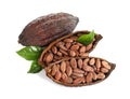 Composition with cocoa beans on white background Royalty Free Stock Photo