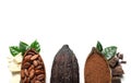 Composition with cocoa pods and chocolate on white background Royalty Free Stock Photo