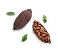 Composition with cocoa pods on white background Royalty Free Stock Photo