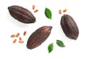 Composition with cocoa pods on white background Royalty Free Stock Photo