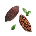 Composition with cocoa pods on white background, top Royalty Free Stock Photo