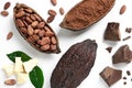 Composition with cocoa products on white background Royalty Free Stock Photo