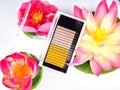 Composition of colored eyelashes for extension with flowers, two-color pallets