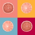 Composition coral colour painted slices of lemon fruits