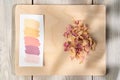 Composition of the creative palette: flower samples and a dry natural plant. Composition for your design. Royalty Free Stock Photo